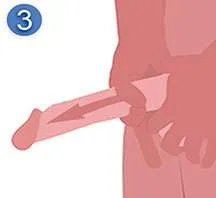 젤크 운동 3단계 기저부에서 귀두 방향으로 움직이는 방법